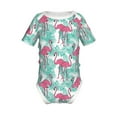 thumbnail image 1 of Gaeub Flamingo Print Infant Climbing Onesie,Toddler Outfit,Newborn Baby Bodysuit,Baby Boy Girl Clothes -12 Months, 1 of 6