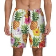 thumbnail image 1 of Gaeub Hawaiian Pineappl Mens Swim Trunks Stretch Beach Shorts Quick Dry for Men Swim Shorts Swimwear with Pockets- Small, 1 of 9