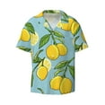 thumbnail image 1 of Gaeub Lemon Men's Lapel Short Sleeve Shirt, Relaxed Fit Shirt, Soft and Breathable for Outdoors Party Travel - Large, 1 of 7