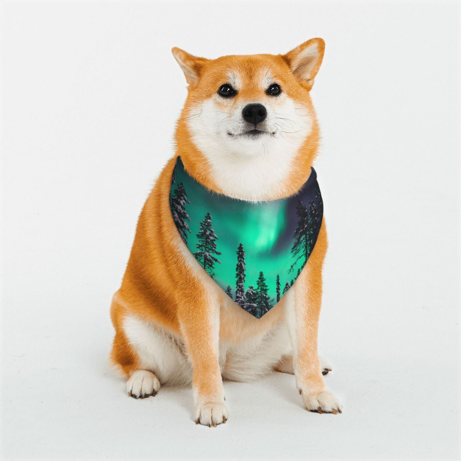 Gaeub Northern Lights 2 Dog Bandana，Adjustable Dog Scarf，Handkerchief