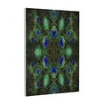 thumbnail image 1 of Gaeub Peacock Feathers Print Canvas Wall Art for Bathrooms Bedroom,Wall Decor,Framed Artwork for Wall,Modern Wall Decorations Prints Picture,Home Decor Wall Pictures 30" x 40", 1 of 8
