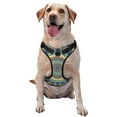 thumbnail image 1 of Gaeub Round Mandala1 Gaeub Round Mandala1 No Pull Dog Harness, Secure and Adjustable Pet Vest for Outdoor Activities - Small, 1 of 8