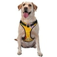thumbnail image 1 of Gaeub The Chicken Family Gaeub The Chicken Family No Pull Dog Harness, Secure and Adjustable Pet Vest for Outdoor Activities - X-Large, 1 of 8