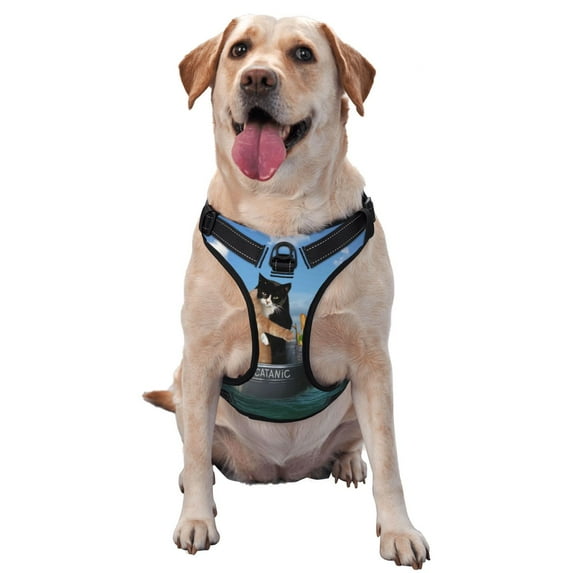 Gaeub Two Brave Cats Are Floating On The Sea Iceberg Gaeub Two Brave Cats Are Floating On The Sea Iceberg No Pull Dog Harness, Secure and Adjustable Pet Vest for Outdoor Activities -