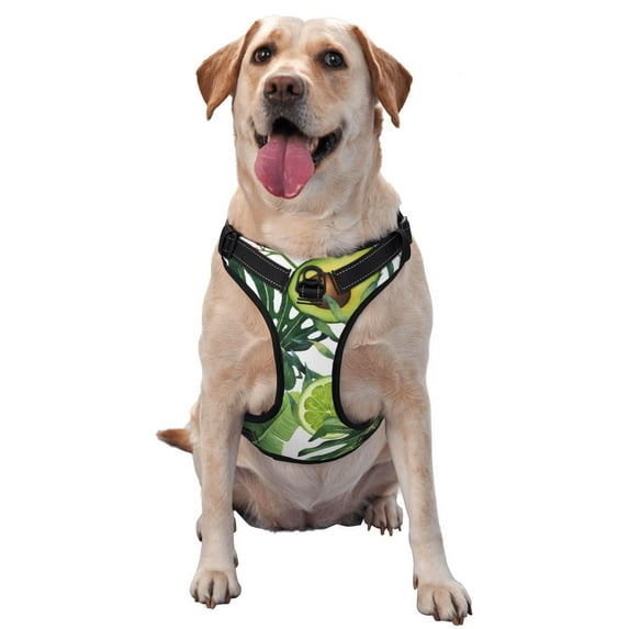 Gaeub Watercolor Green Tropical Gaeub Watercolor Green Tropical No Pull Dog Harness, Secure and Adjustable Pet Vest for Outdoor Activities - Large