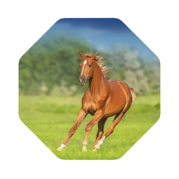 Gaeub horse running freely Print 6 Pcs Leather Coasters for Drinks ,Drink Coasters Sets,Drink Table Cup Coasters for Living Room Kitchen Coffee Decor,Octagon