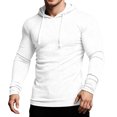 thumbnail image 1 of Gaexia Men's Performance Hoodie Sweatshirt Long Sleeve Pullover Slim Fit Athletic Training Shirt Lightweight Hooded Top For Gym Workout Running Jogging Sports Daily Wear, 1 of 4