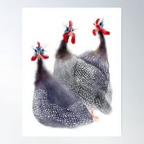Gaggle Of Three Guinea Fowl Birds Poster Wall Art, Modern Wall Decor For Living Room Bedroom, 8x12 UNFRAMED