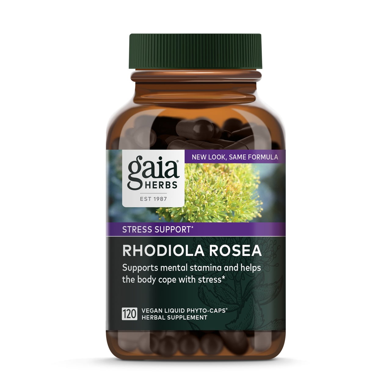 Gaia Herbs Rhodiola Rosea Stress Support Supplement Traditionally for