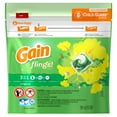 thumbnail image 1 of Gain Flings Laundry Detergent Soap Pacs, 16 Ct, Original Scent, 1 of 10