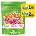 thumbnail image 1 of Gain Happy Super-Sized Flings Laundry Detergent Packs, Hibiscus Hula Scent, 18 Count, 1 of 13