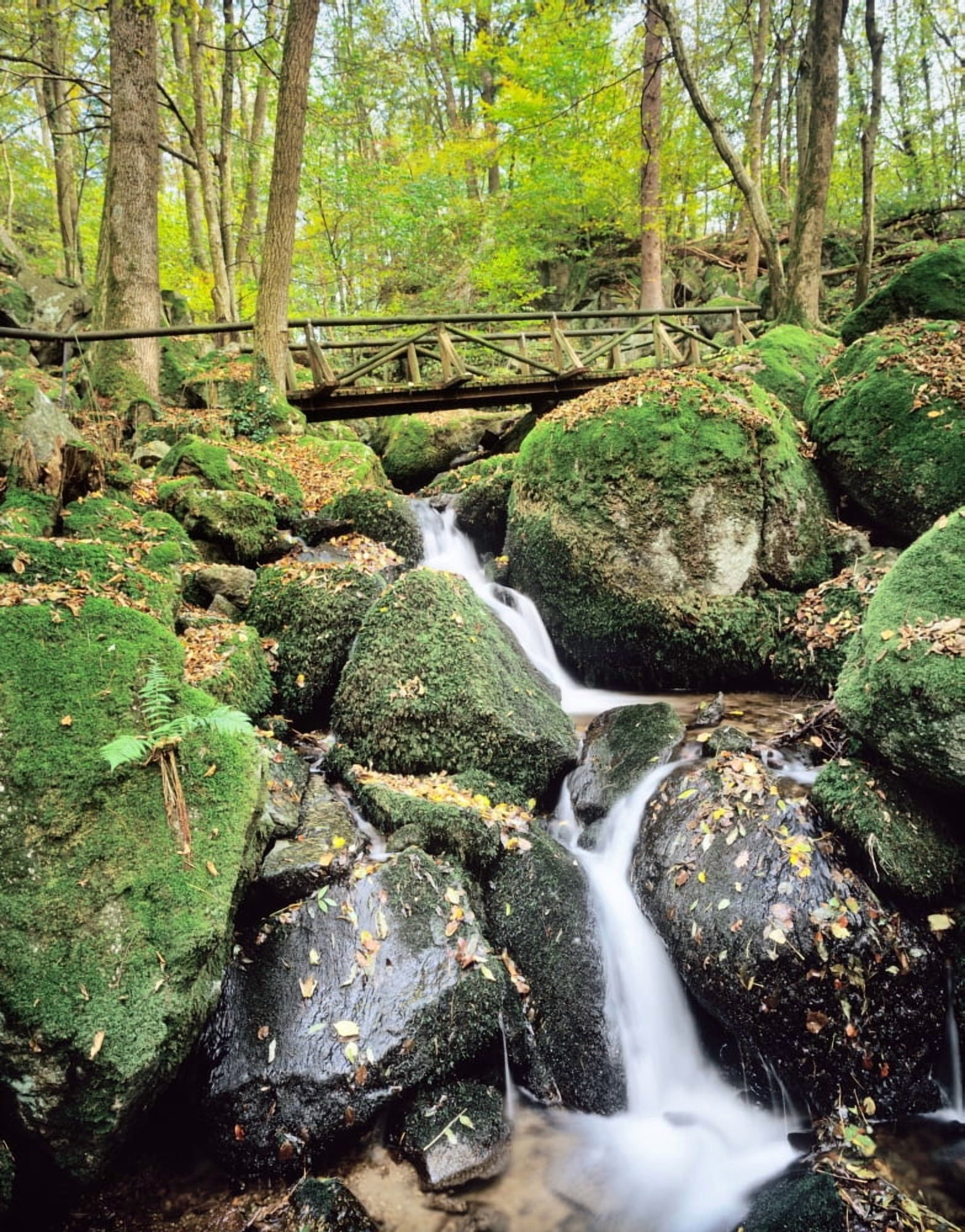 Gaisholle Waterfall in autumn Sasbachwalden Black Forest Baden-Wurttemberg Germany Canvas Art - Panoramic Images (12 x 36)