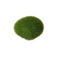 thumbnail image 1 of Gaiwos Artificial Moss Rock 2.36 inches, Faux Green Stones Green Moss Balls Decor， for Floral Arrangements Fairy Gardens and Crafting, 1 of 7