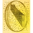 thumbnail image 1 of Galactic Model, Herschel, 1784 Poster Print by Science Source (24 x 36), 1 of 4