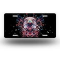 thumbnail image 1 of Galactic explosion eagle Front License Plate, Funny Standard Plates Personalized Novelty Decorative For Men/Women/Boys/Girls Car 6×12 Inch, 1 of 7