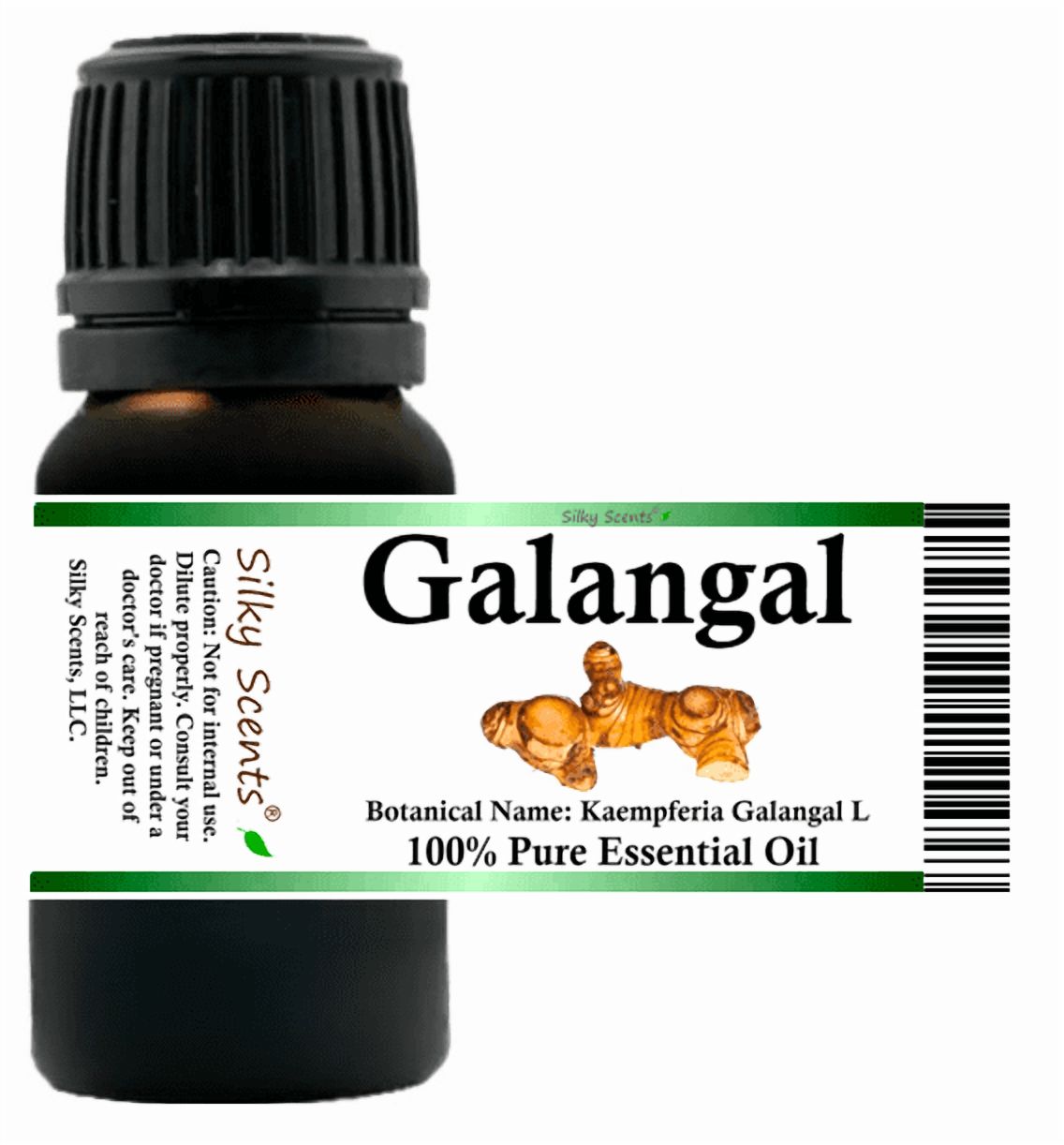 Galangal Essential Oil 5 ml (1/6 fl oz) - 100% Pure and Natural by Silky Scents