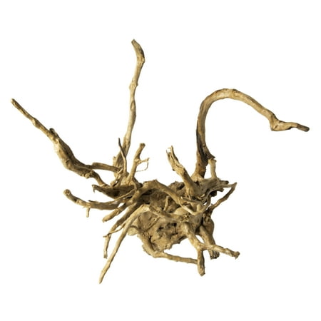 Galapagos Brown Spider Wood 12 - 24" Aquarium & Terrarium Substrate