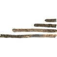 thumbnail image 1 of Galapagos Cactus Skeleton Cholla Wood, Brown, 1 Each/36 in, 1 of 2