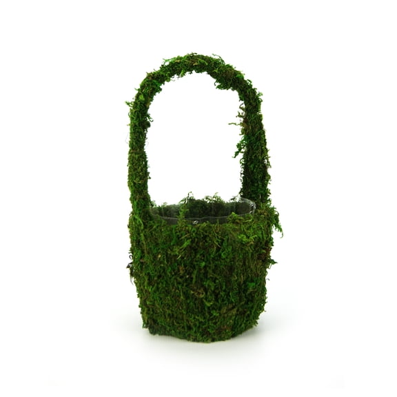 Galapagos Decorative Vista Round Moss Basket w/Handles (Small)