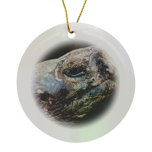 3drose, Galapagos, Ecuador, Charles Darwin Center. Giant Galapagos Tortoise., Circle Porcelain Ornament