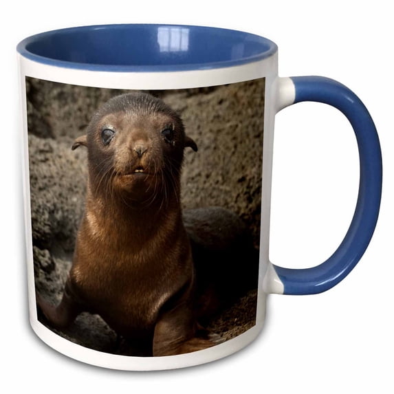 3drose, Galapagos Fur Seal, Cabo Douglas, Galapagos Islands - Sa07 Pox2148 - Pete Oxford, 15oz Two-tone Blue Mug