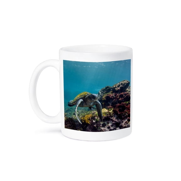 3drose, Galapagos Green Sea Turtle Swimming, Galapagos, Ecuador., 11oz Mug