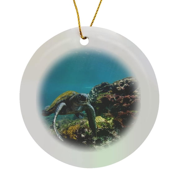 3drose, Galapagos Green Sea Turtle Swimming, Galapagos, Ecuador., Circle Porcelain Ornament