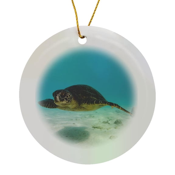 3drose, Galapagos Green Sea Turtle Swimming Underwater, Galapagos, Circle Porcelain Ornament