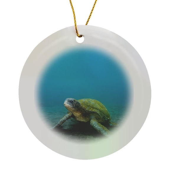 3drose, Galapagos Green Sea Turtle Underwater, Ecuador., Circle Porcelain Ornament