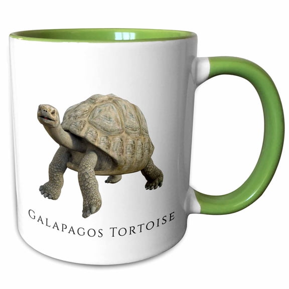 3drose, Galapagos Islands Tortoise, 15oz Two-tone Green Mug