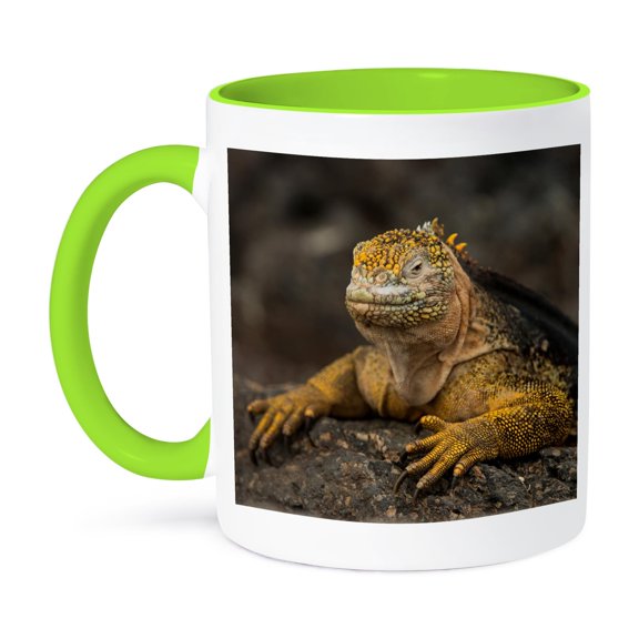 3drose, Galapagos Land Iguana, South Plaza Island Galapagos, Ecuador., 11oz Two-tone Green Mug