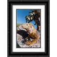 thumbnail image 1 of Galapagos Land Iguana basking, Galapagos Islands, Ecuador 2x Matted 18x24 Black Ornate Framed Art Print by De Roy, Tui, 1 of 2