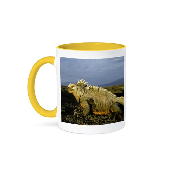 3drose, Galapagos Marine Iguana, Galapagos Islands, Ecuador - Sa07 Ksc0016 - Kevin Schafer, 11oz Two-tone Yellow Mug