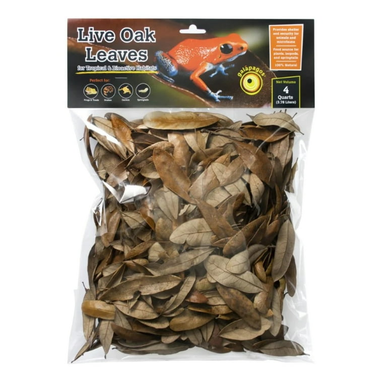 Galapagos Natural Live Oak Leaf Litter Galapagos Natural Live Oak Leaf Litter