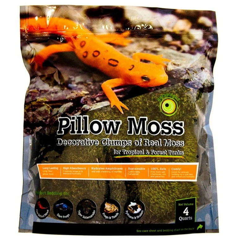 Galapagos Royal Pillow Moss for Tropical Forest Tanks 
