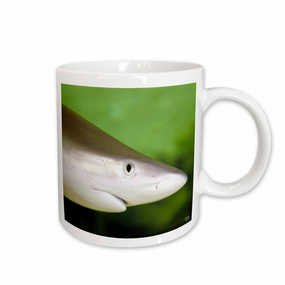 3drose, Galapagos Shark Carcharhinus Galapagensis, 15oz Mug