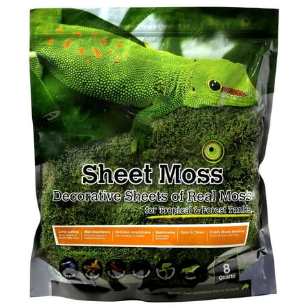 Galapagos Sheet Moss Decorative Sheet of Real Moss Substrate