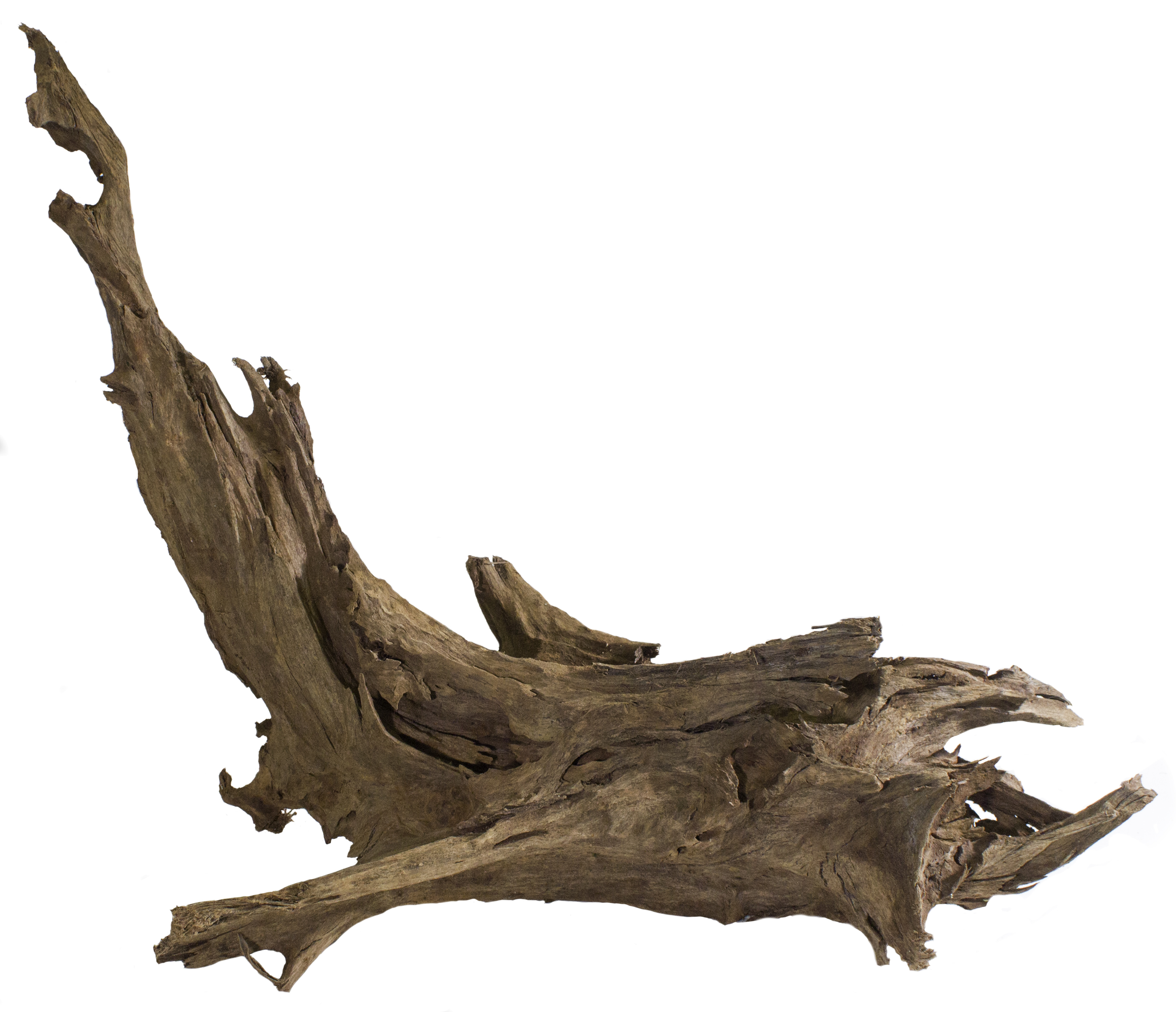 Galapagos Sinkable Driftwood, Natural, Medium Large 14-16in - image 1 of 6