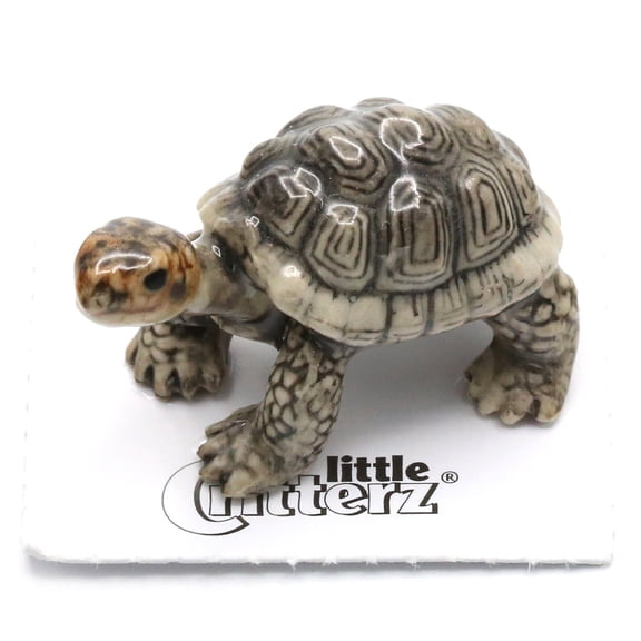 Galapagos Tortoise "Darwin" - miniature porcelain figurine