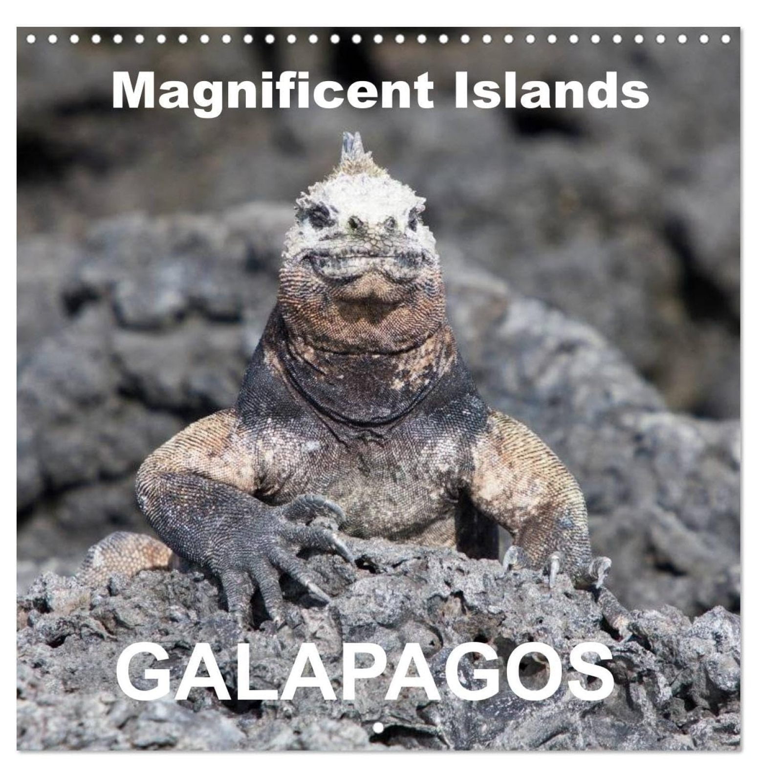 Galapagos magnificent islands (Wall Calendar 2024 12" × 12"), ZQRPCA 12