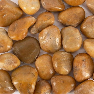 5 lbs Approx. 25 River Rocks Pebbles for Plants (2-3 Inches) Natural Decorative Polished Stones for Planters Succulent Rocks Aquarium Gravel