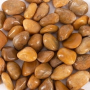 5 lbs River Rocks Pebbles for Plants 1.6-2.4 Inches 45 Natural Decorative Polished Stones for Planters Succulent Rocks Aquarium Gravel