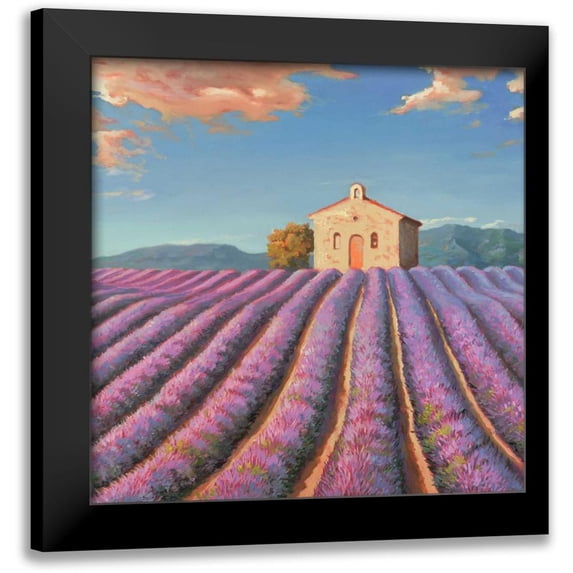 Galasso, Adriano 15x15 Black Modern Framed Museum Art Print Titled - Campi di lavanda