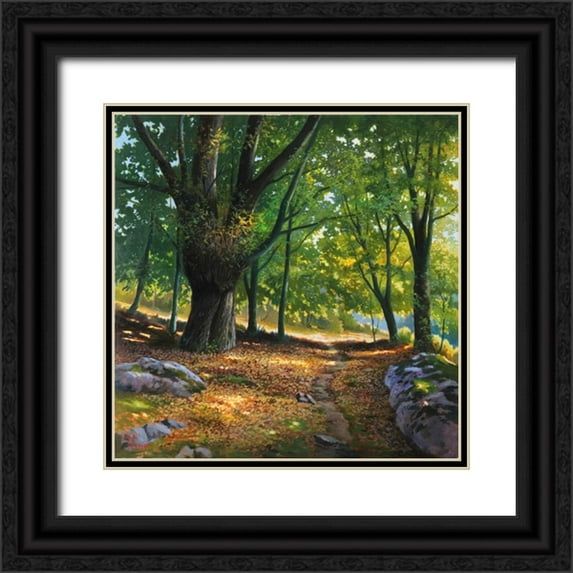 Galasso, Adriano 15x15 Black Ornate Wood Framed with Double Matting Museum Art Print Titled - Luce nel bosco