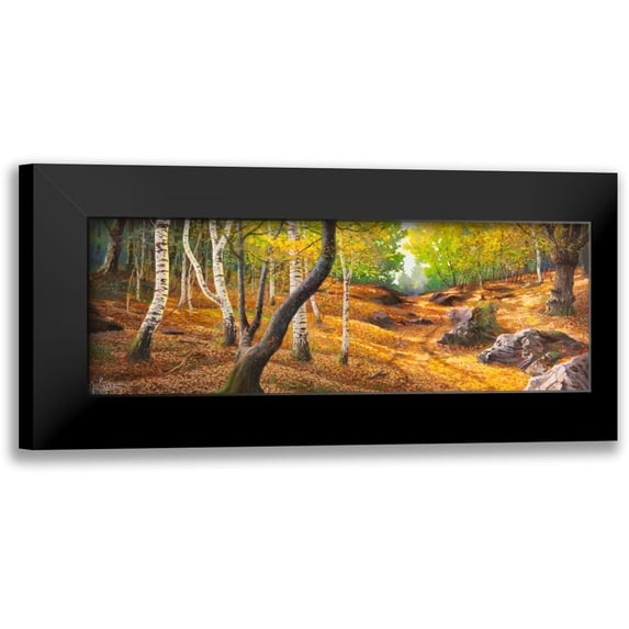 Galasso, Adriano 18x9 Black Modern Framed Museum Art Print Titled - Sentiero nel bosco