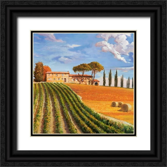 Galasso, Adriano 26x26 Black Ornate Wood Framed with Double Matting Museum Art Print Titled - Colline toscane