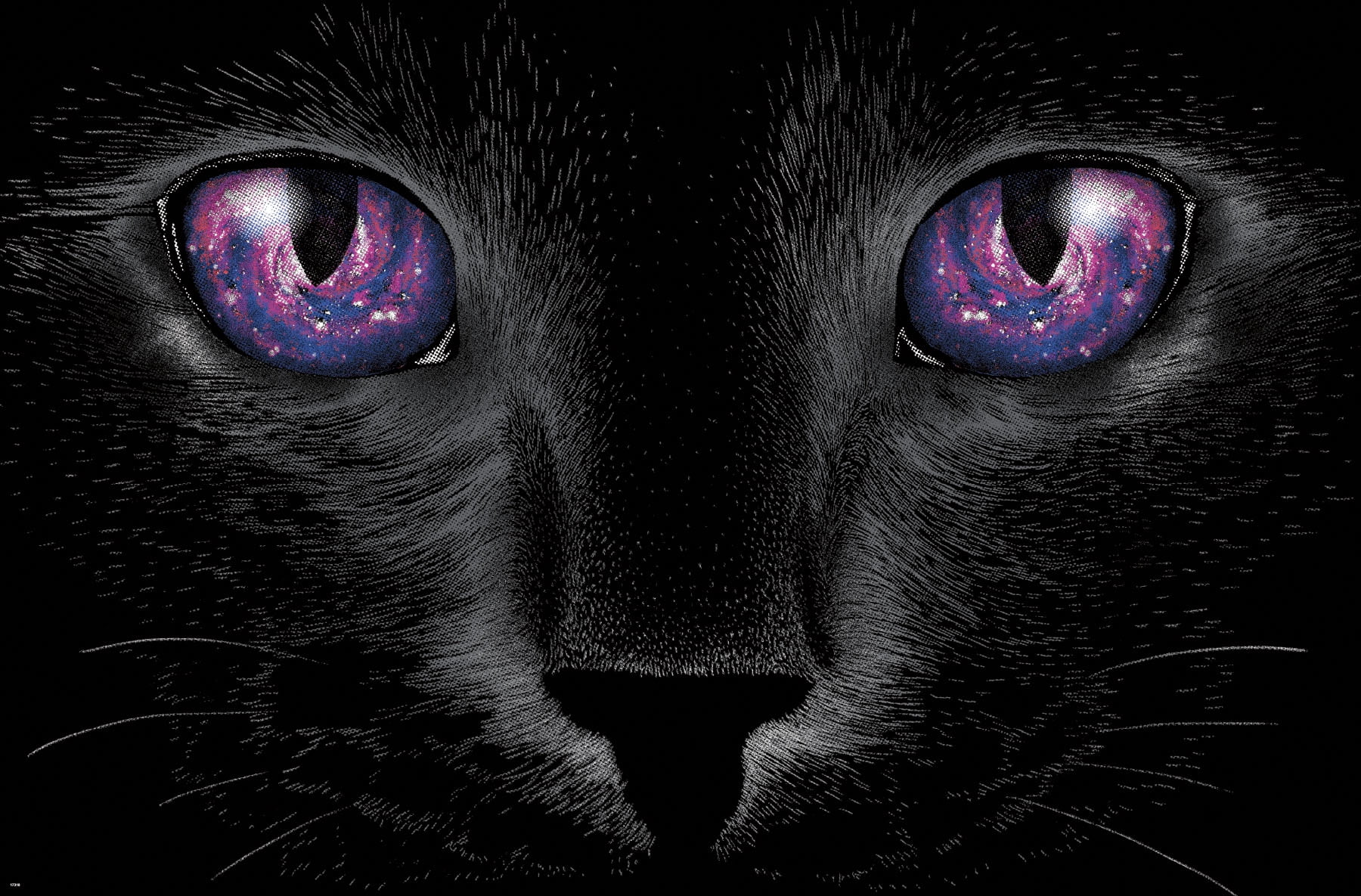Galaxy cat deals