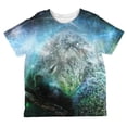thumbnail image 1 of Galaxy Koala is My Spirit Animal All Over Toddler T Shirt Multi 2T, 1 of 2