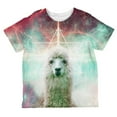 thumbnail image 1 of Galaxy Llama of Namaste Tetrahedron All Over Toddler T Shirt Multi 6T, 1 of 2