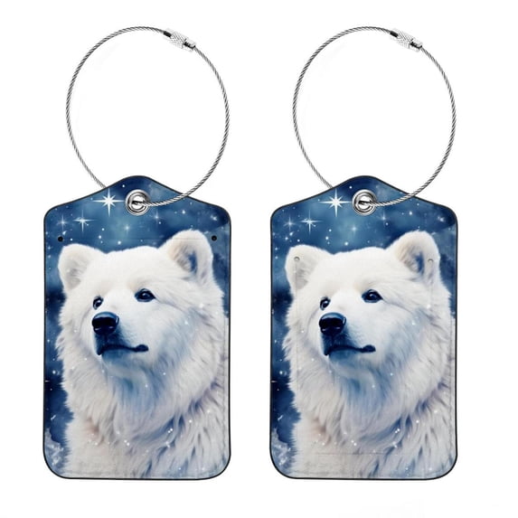 Galaxy Polar Bear Square PU Leather 2 Pack Travel Tag - Bag Tag - Suitcase Tag with Privacy Cover and Stainless Steel Ring - Suitable for Travel, Backpack, and Handbag